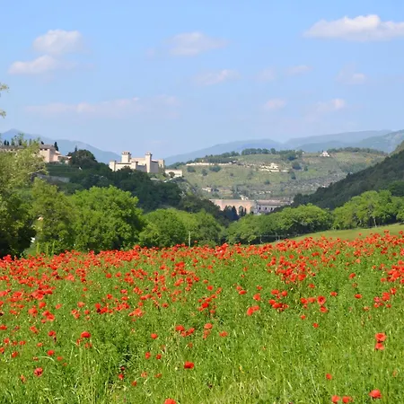 منزل ريفي Valle Rosa سبوليتو