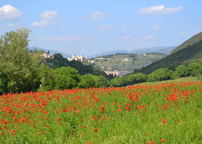 Séjour à la campagne Valle Rosa Spolète